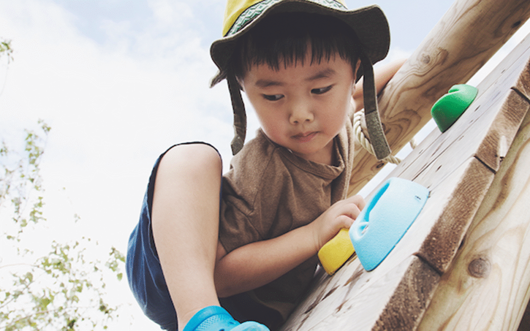 Blog #5: Playground design and risky play