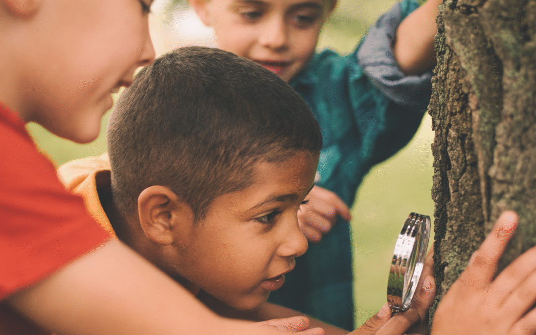 Blog #10: Kindergarten Programs in Long Day Care Services